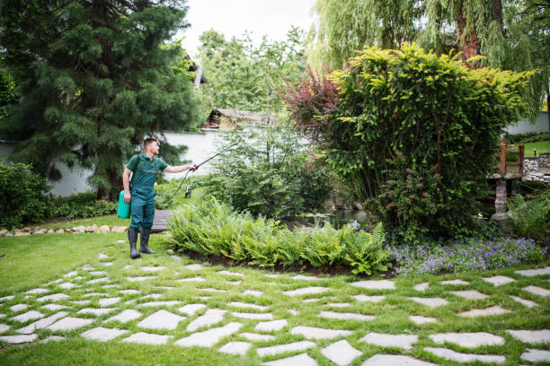 Best Wasp Removal Services  in Madeira, OH