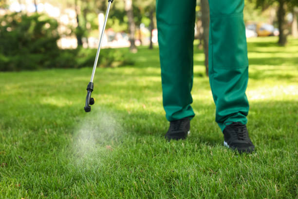 Best Termite Control Services  in Madeira, OH