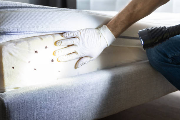 Best Commercial Pest Control Services  in Madeira, OH